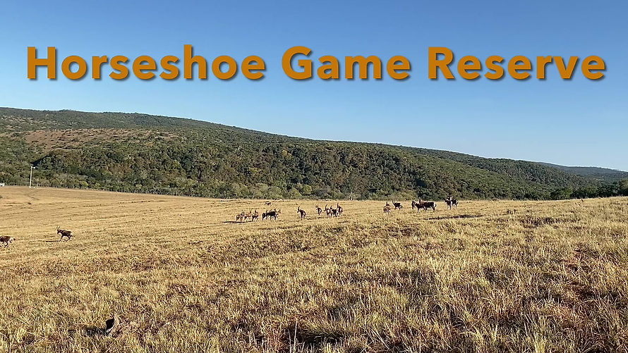 Horseshoe Game Reserve